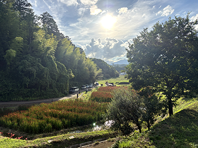 晴天の中での山々の風景
