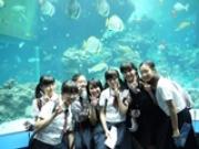 トピックス写真15