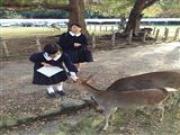 トピックス写真3