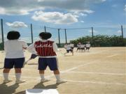 トピックス写真8