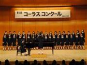 トピックス写真11